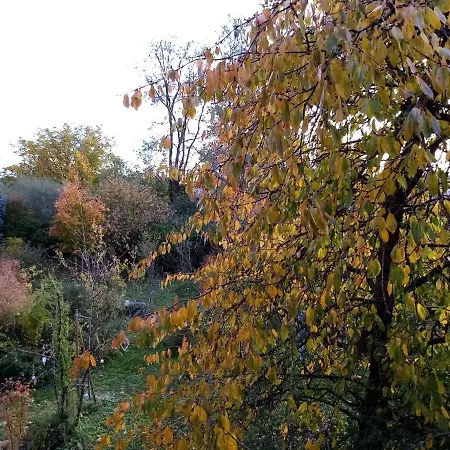 Hissele ベッド・アンド・ブレックファスト Hilsenheim