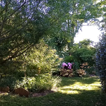 ベッド・アンド・ブレックファスト Hissele