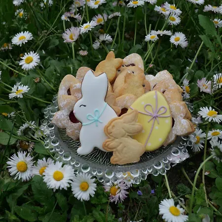 Frühstückspension Hissele Hilsenheim
